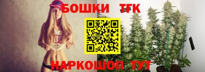 прущие грибы Беслан