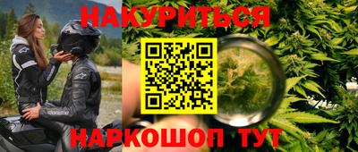 шишки Берёзовский
