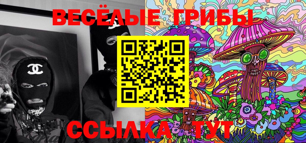 Псилоцибиновые грибы мухоморы  Псилоцибиновые грибы Psilocybe  Иваново  Вход с VPN 